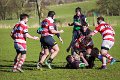 Monaghan 2nd XV Vs Randalstown, Foster Cup Q-Final - Feb 21st 2015 (10 of 25)